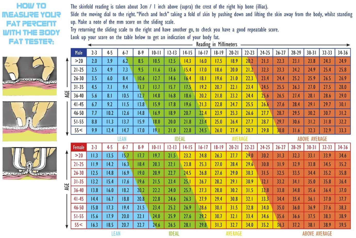  DIAGRAM Body Fat Percentage Diagram MYDIAGRAM ONLINE