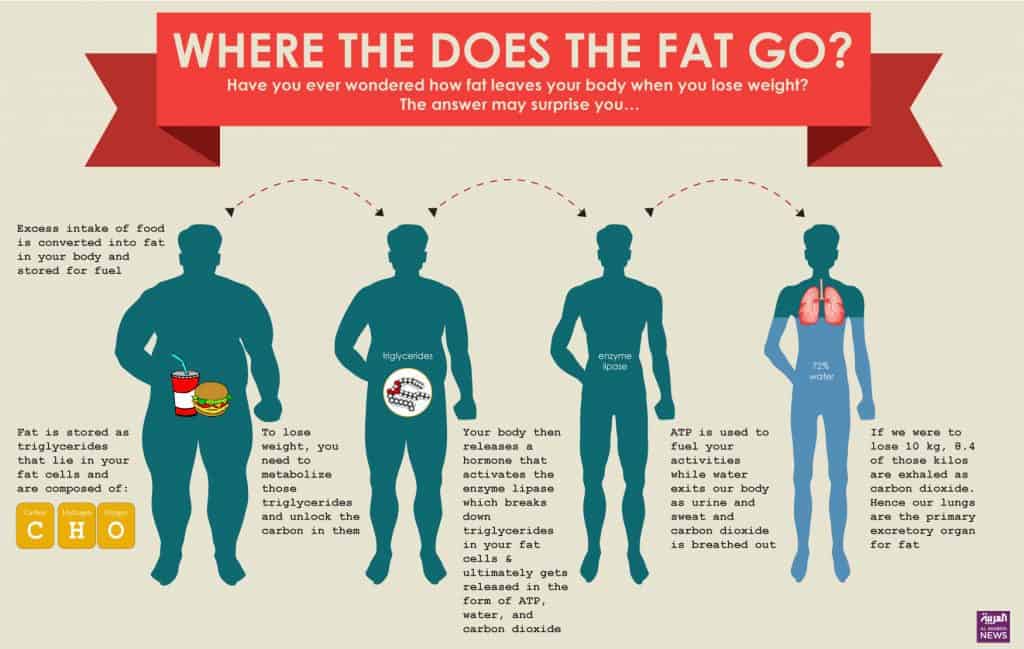 Where Does Fat Go Fit Trainers Transform Your Body Ignite Your 