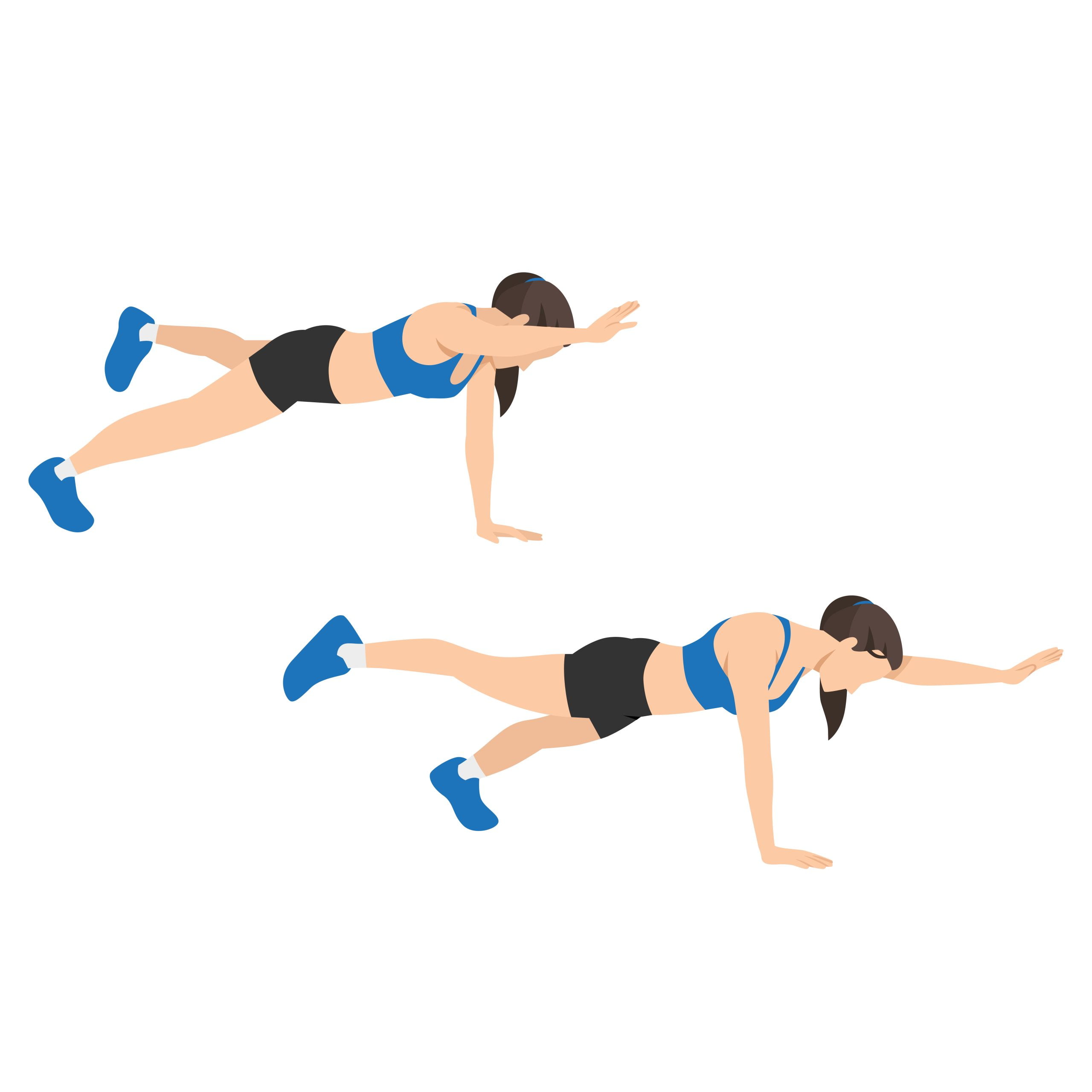 bird dog - fit trainers