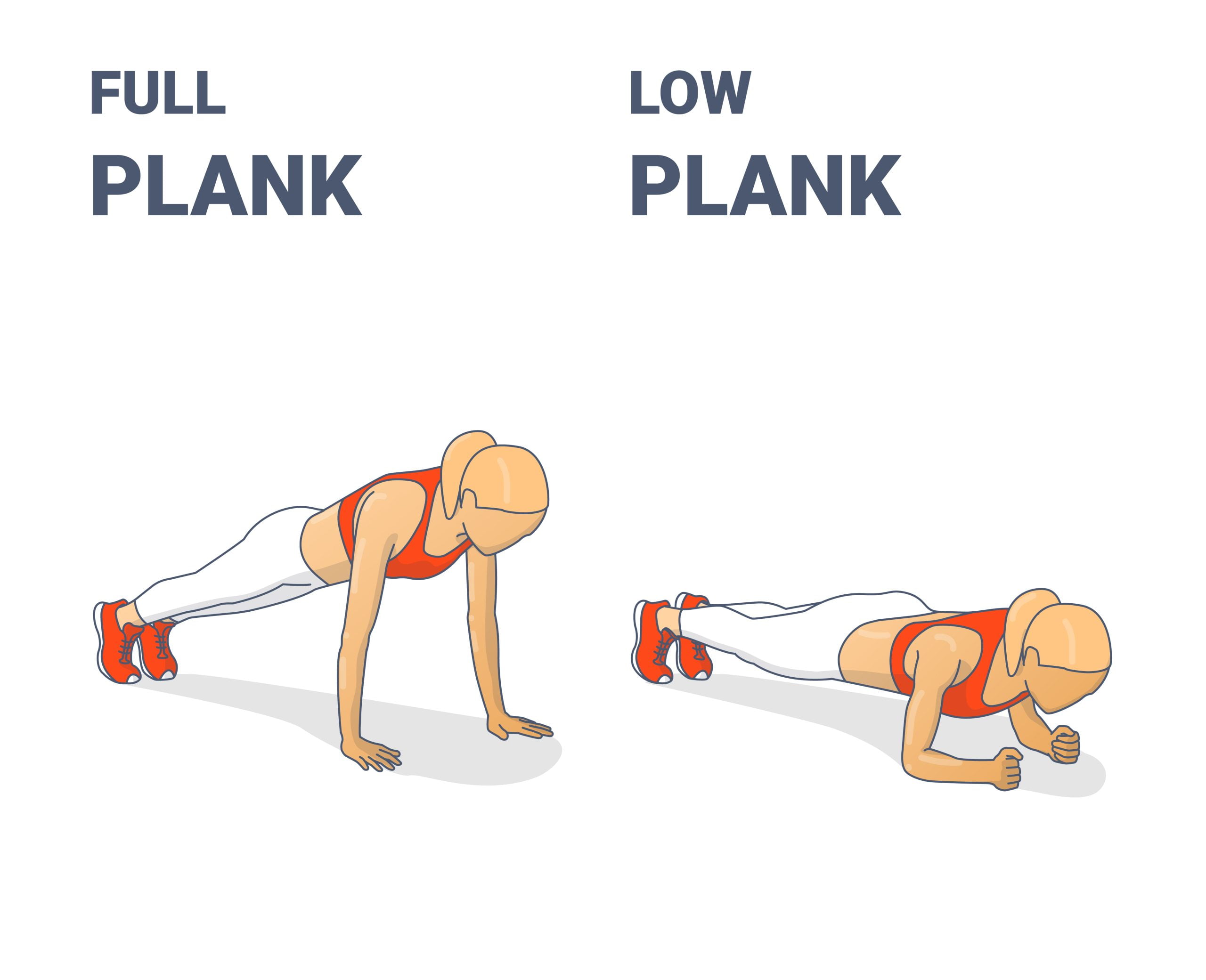 plank - fit trainers